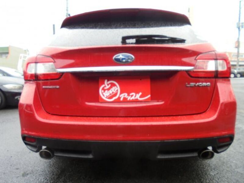 LEVORG