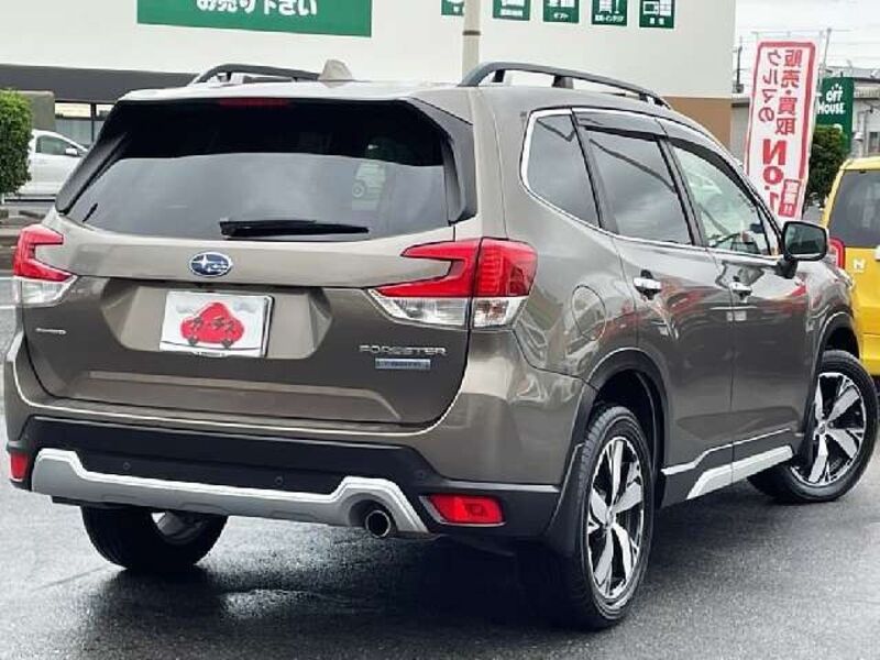 FORESTER