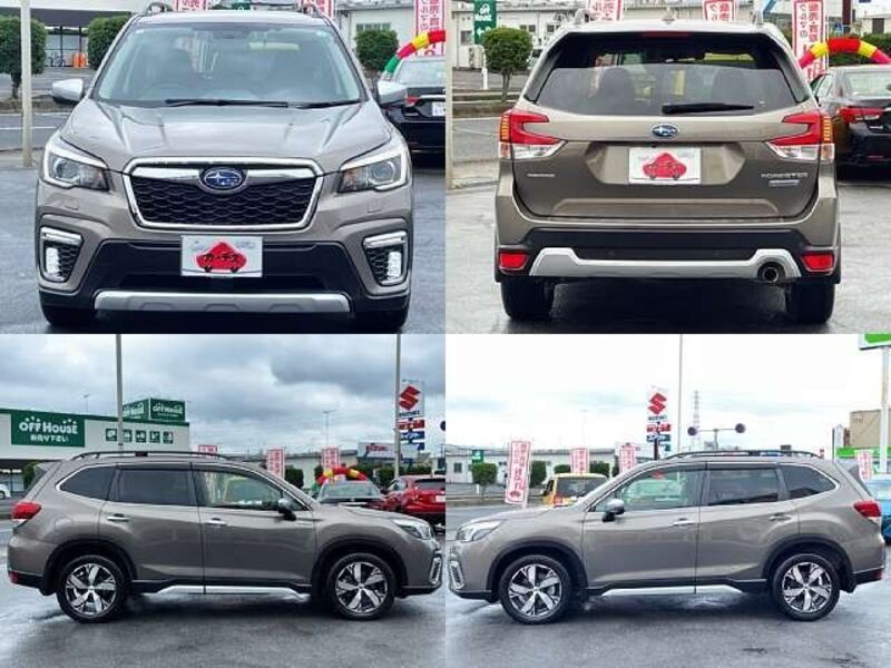 FORESTER