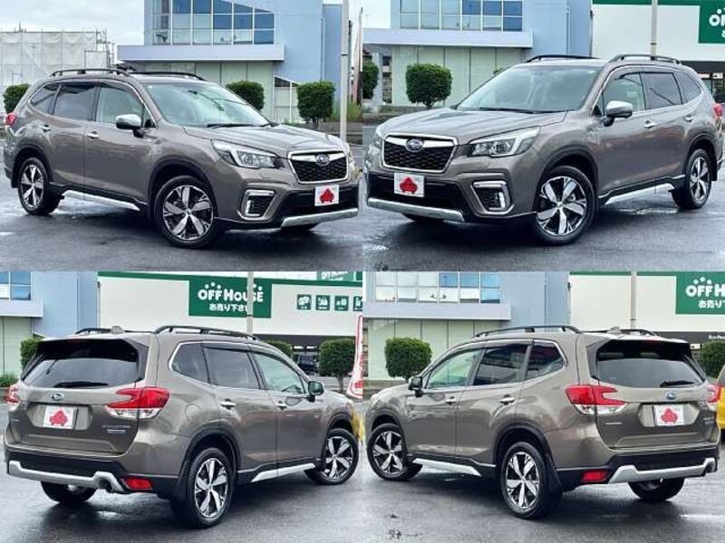 FORESTER