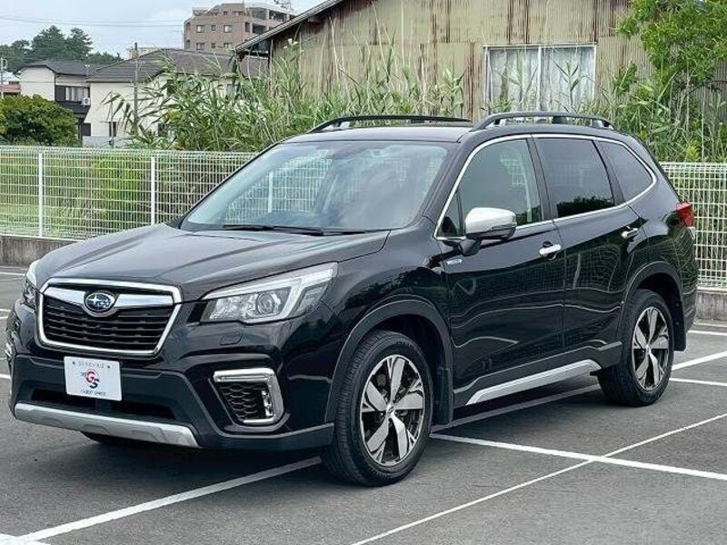 FORESTER
