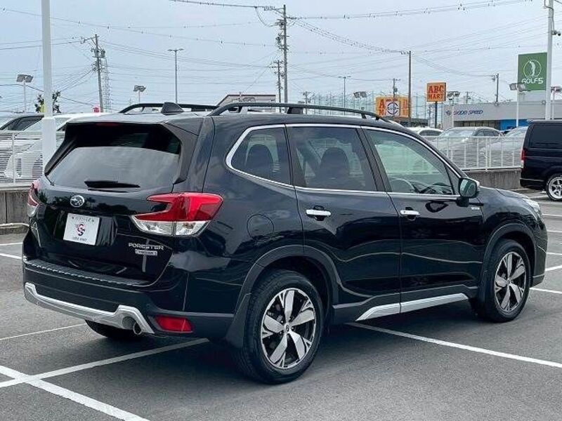 FORESTER