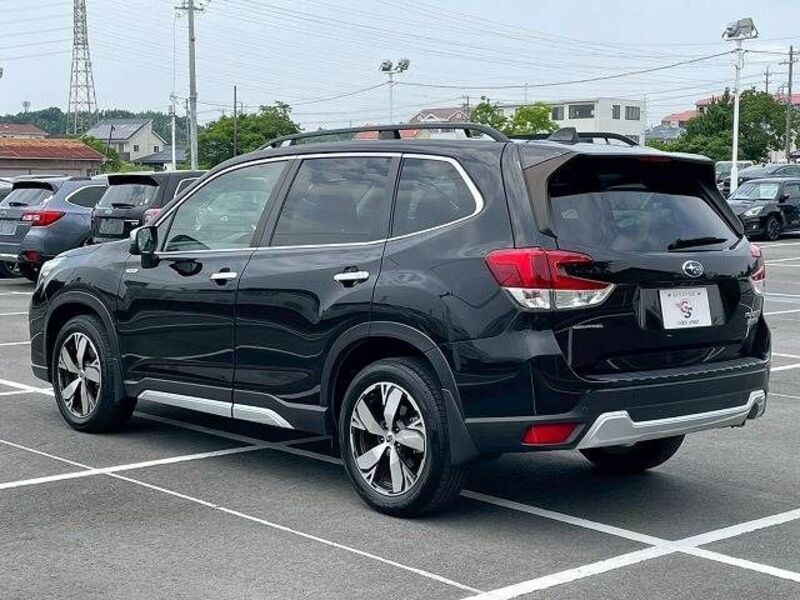 FORESTER