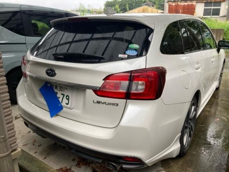 LEVORG