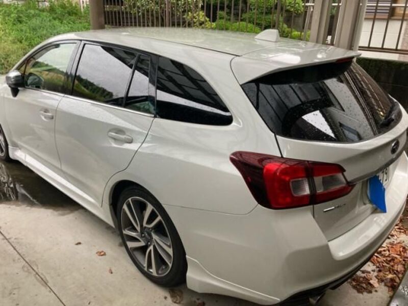 LEVORG