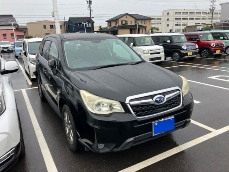 FORESTER-0