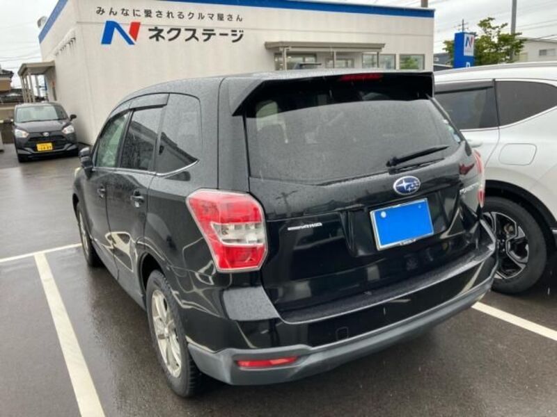 FORESTER