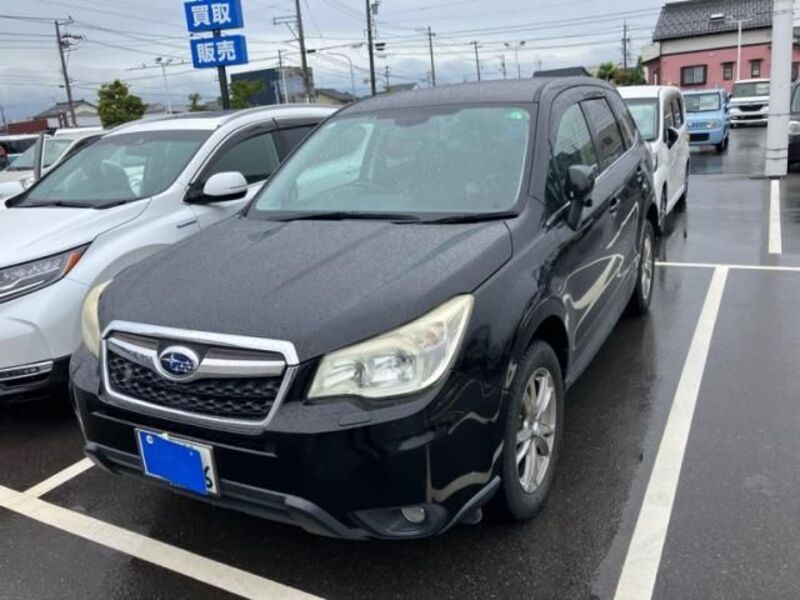 FORESTER