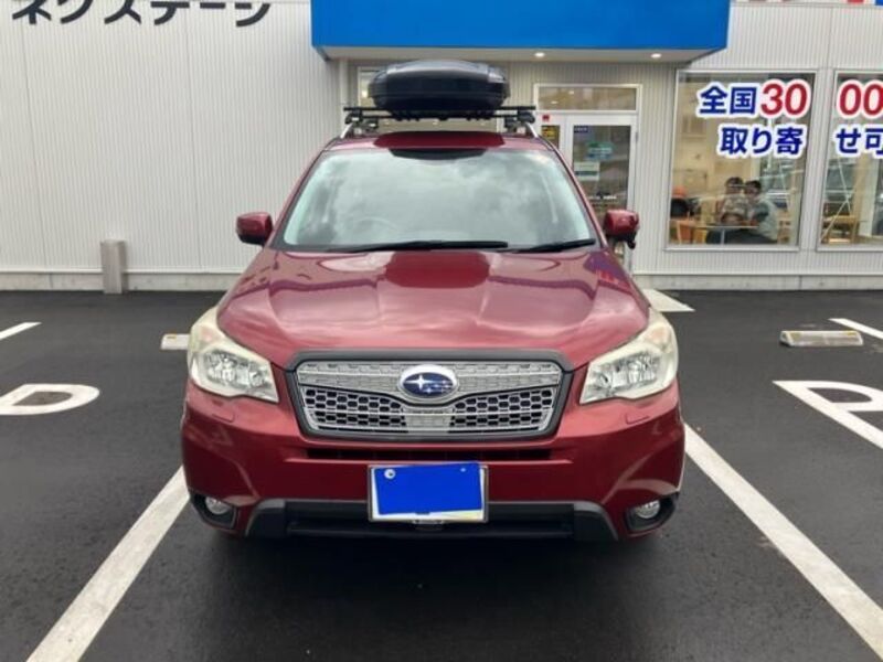 FORESTER