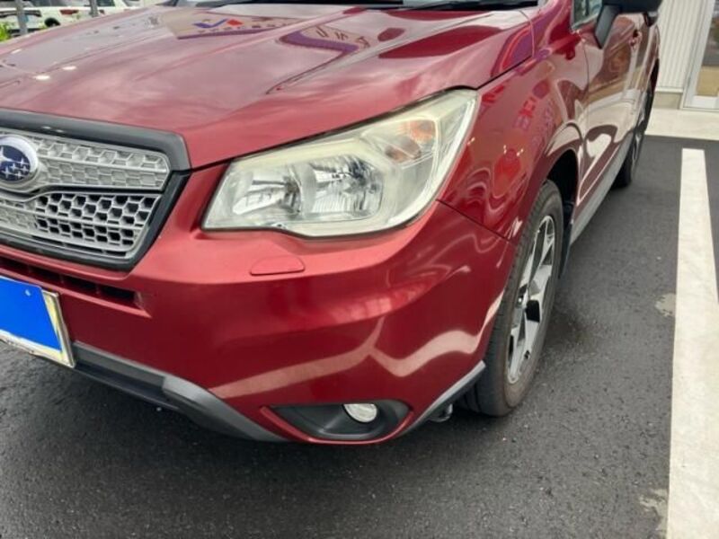 FORESTER