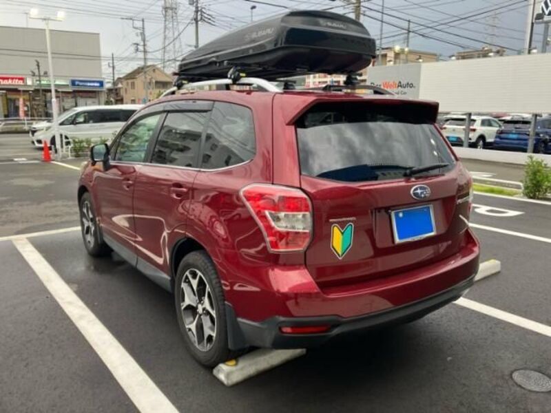 FORESTER