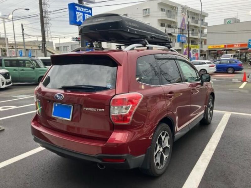 FORESTER