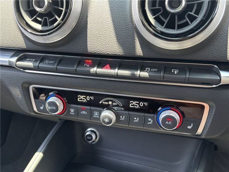 A3