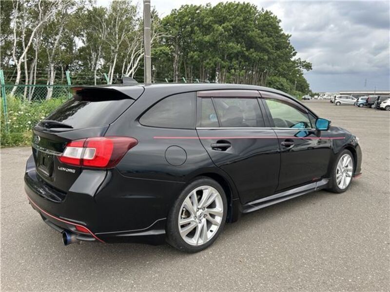 LEVORG