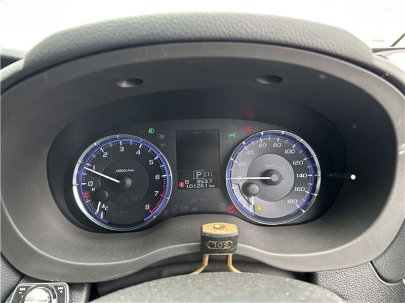 LEVORG