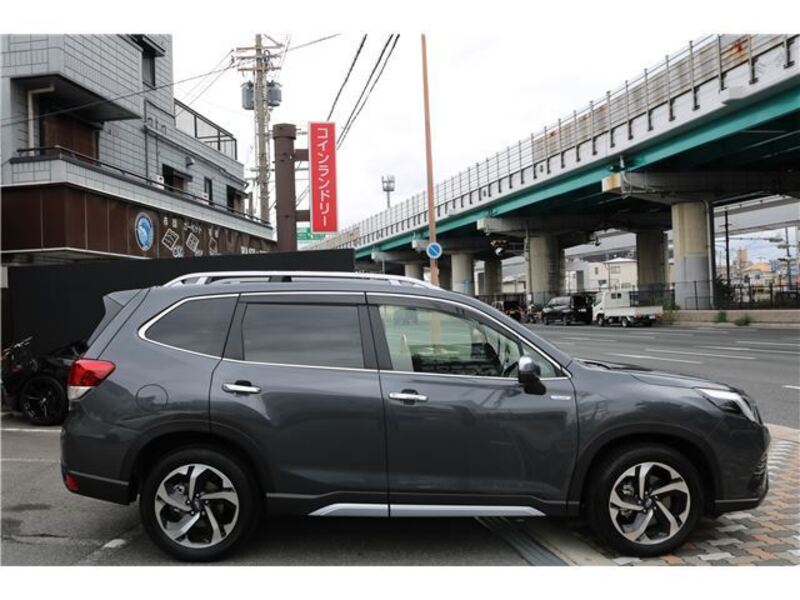 FORESTER