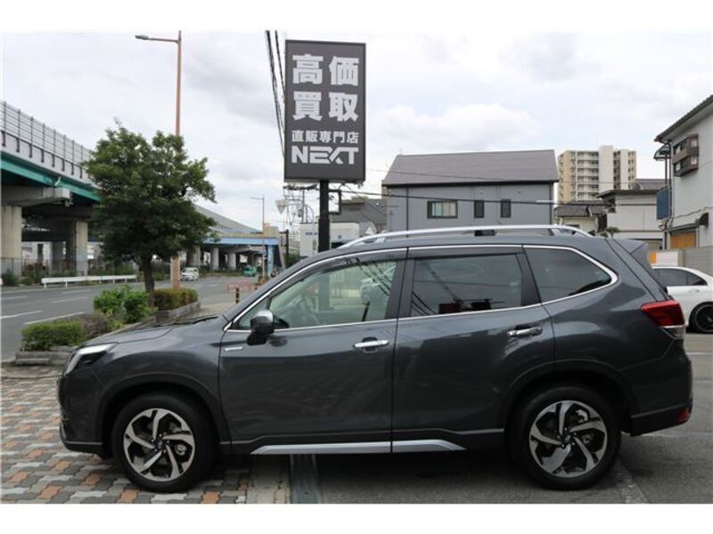 FORESTER