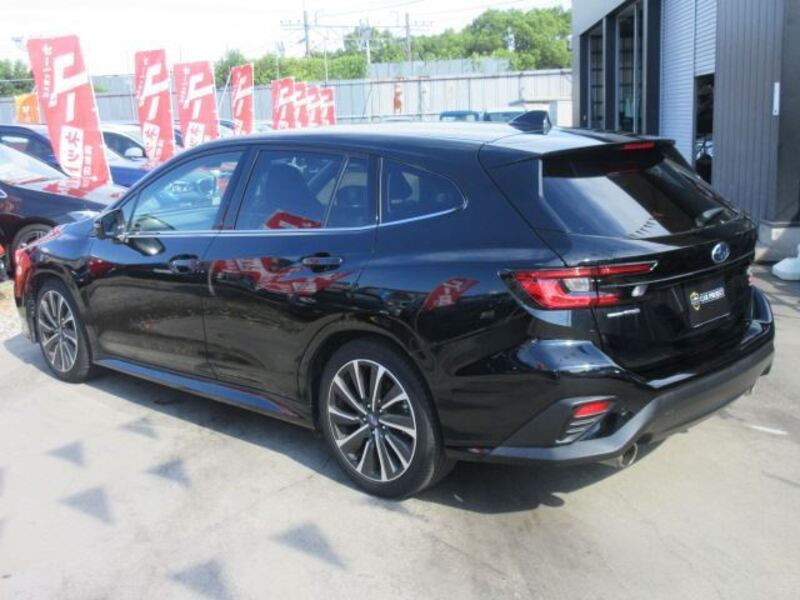LEVORG