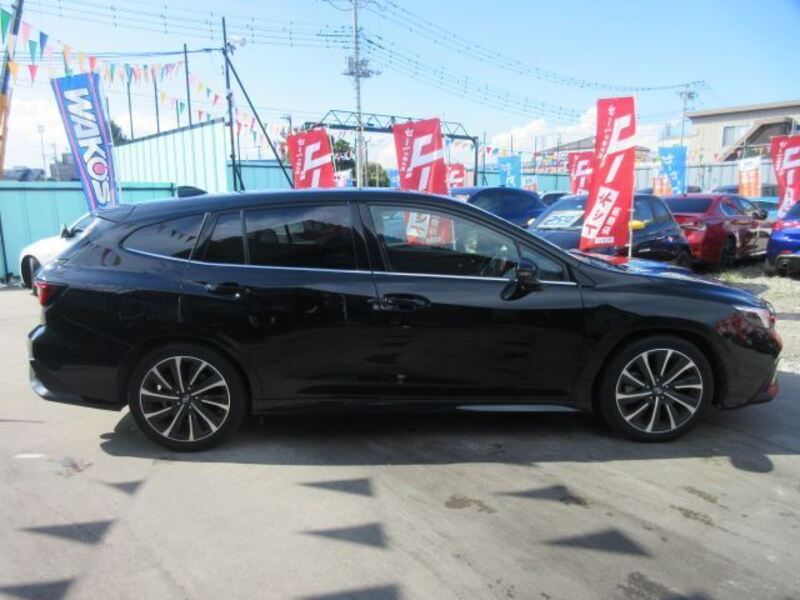 LEVORG