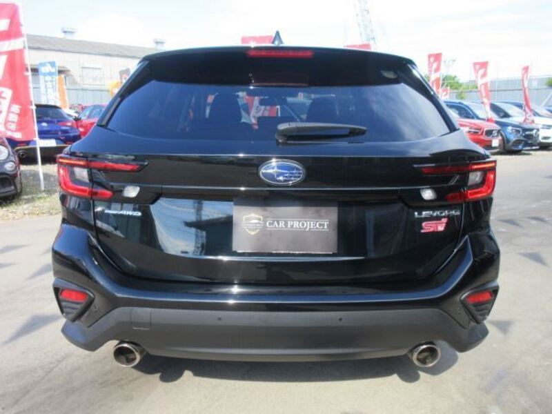 LEVORG