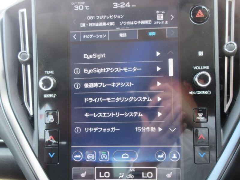 LEVORG
