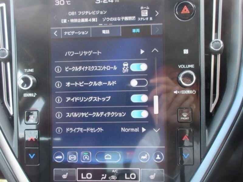 LEVORG