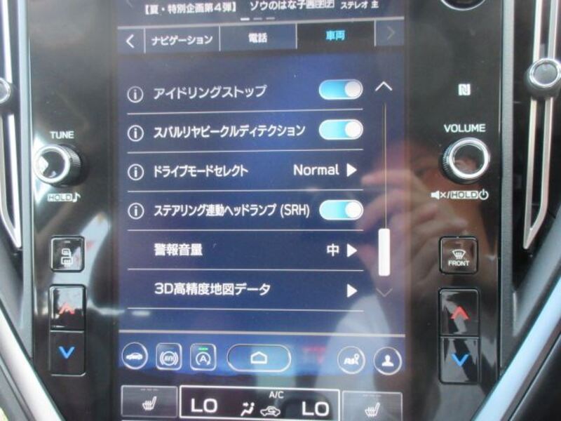 LEVORG