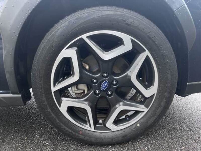 XV