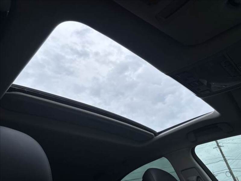 LS