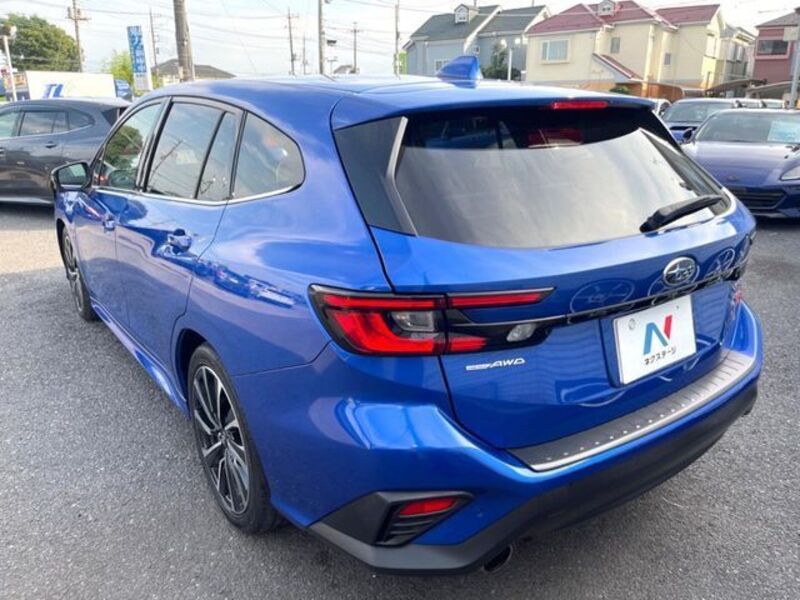 LEVORG