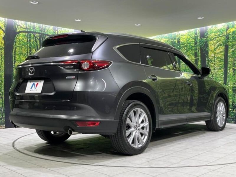 CX-8