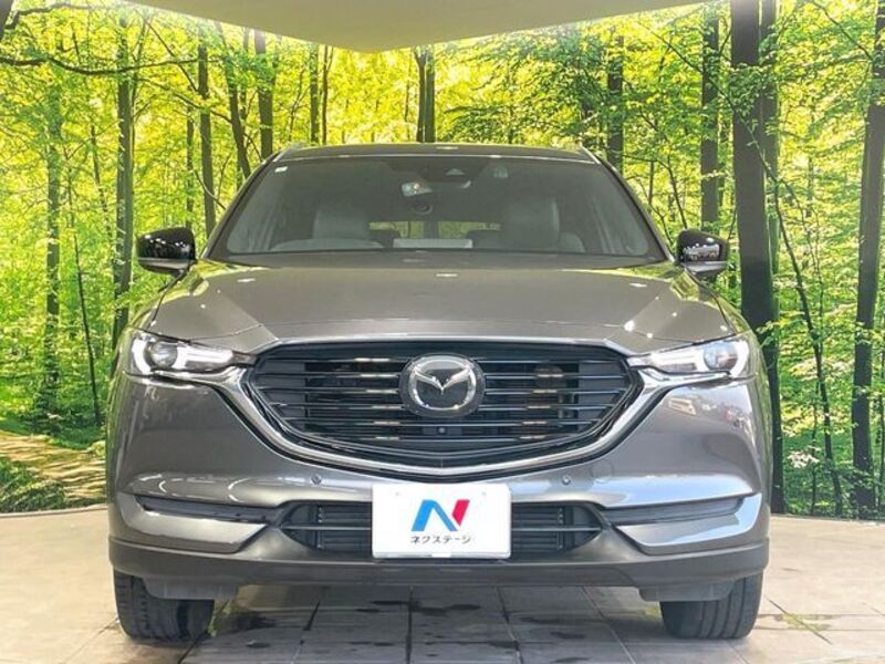 CX-8