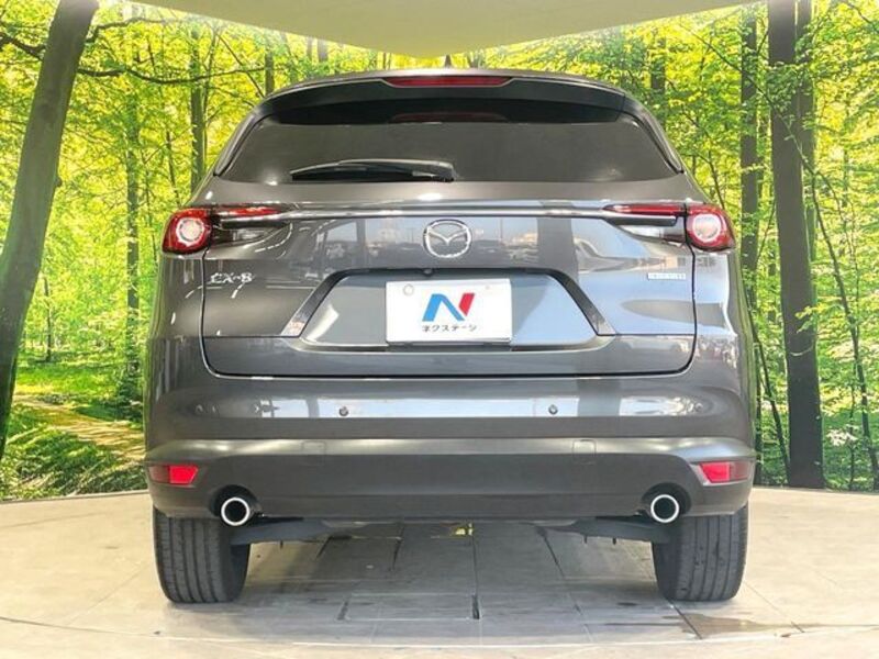 CX-8
