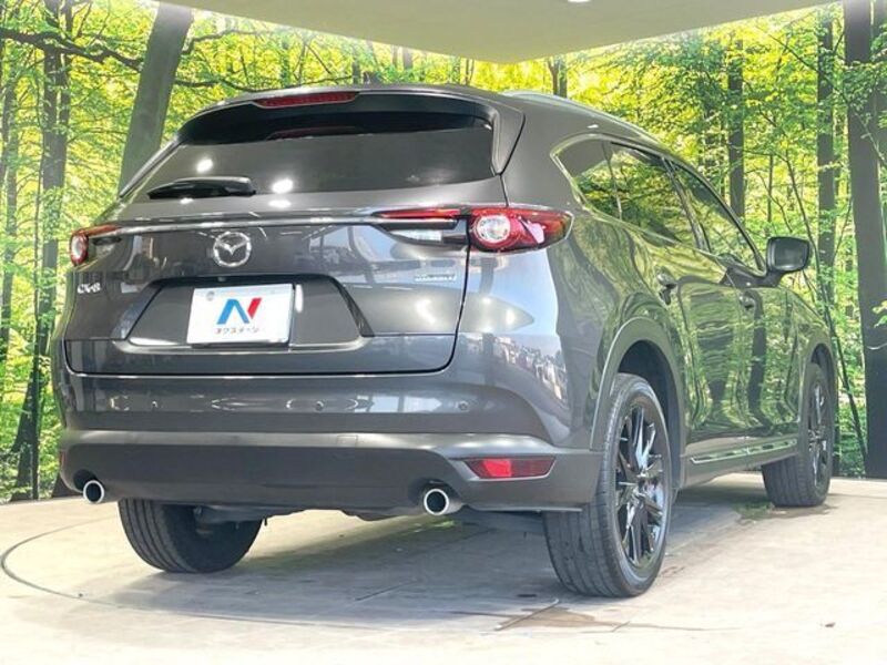 CX-8