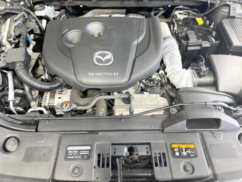 CX-8