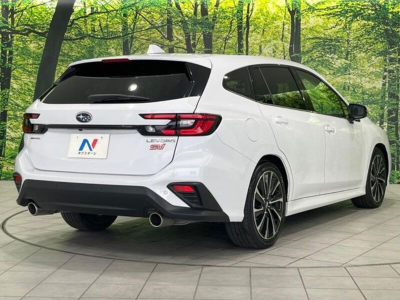 LEVORG