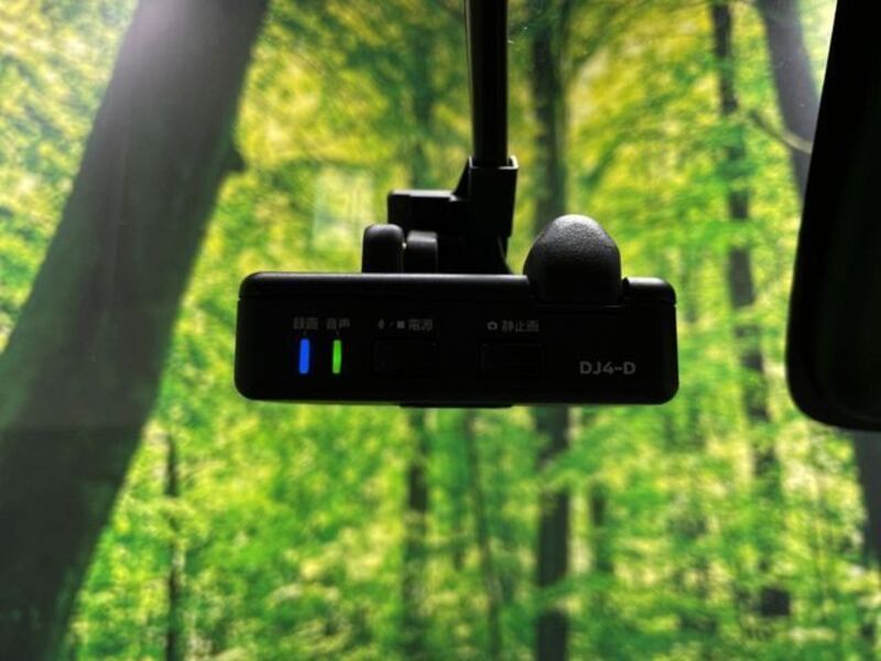 DAYZ ROOX