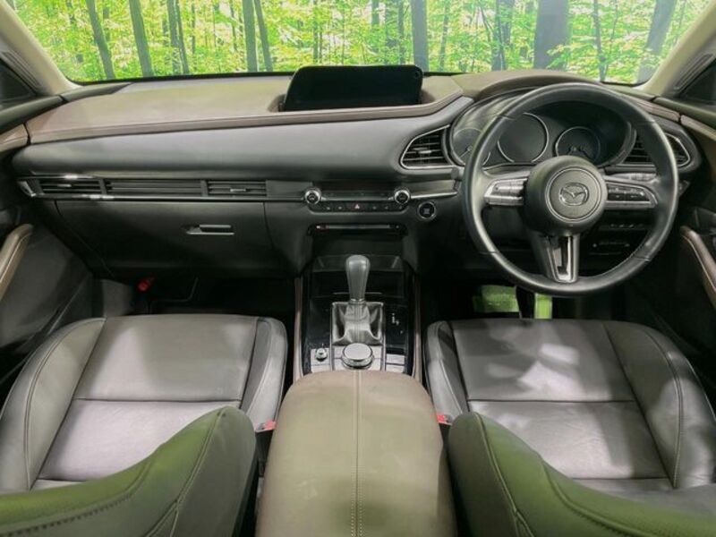 CX-30