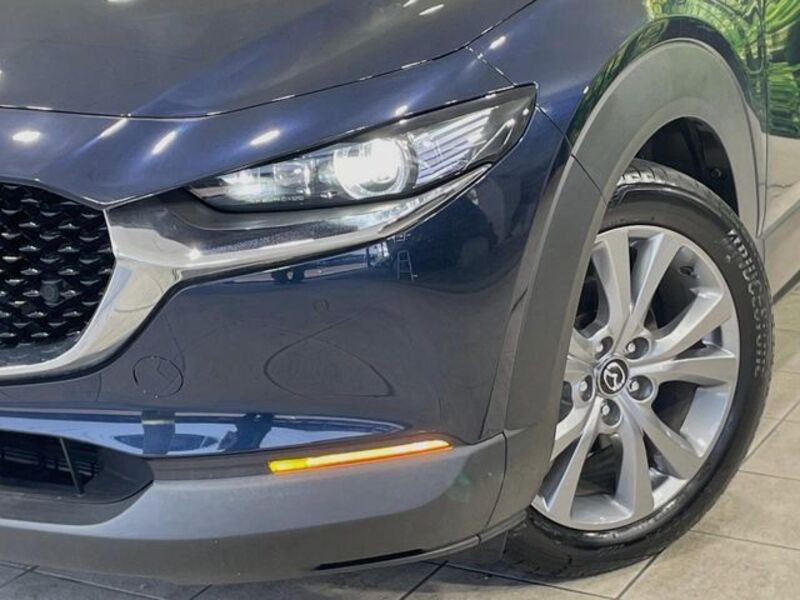 CX-30