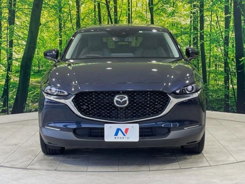 CX-30