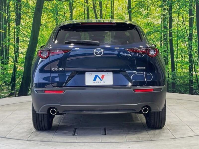 CX-30