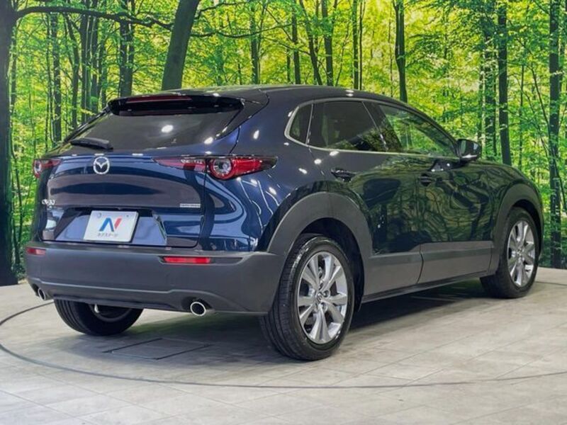CX-30