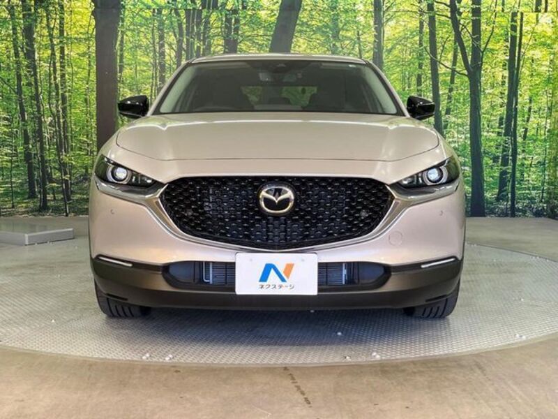 CX-30