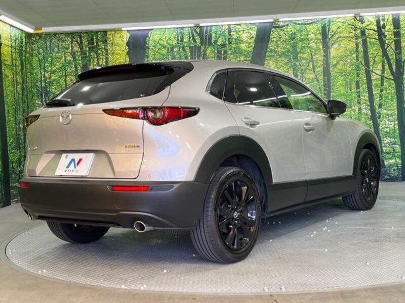 CX-30