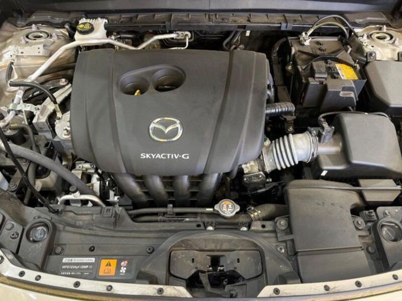 CX-30