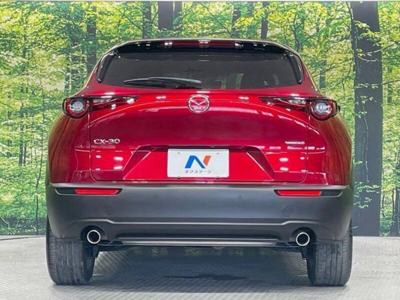 CX-30
