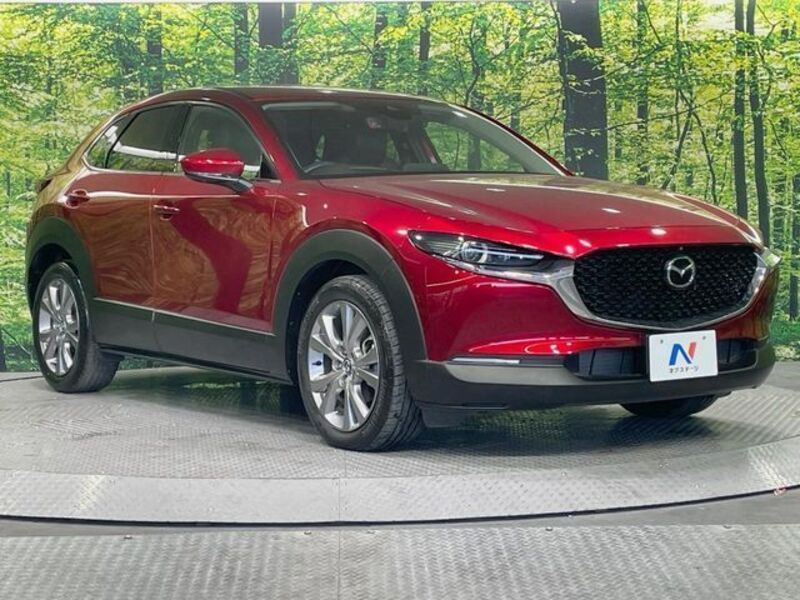 CX-30