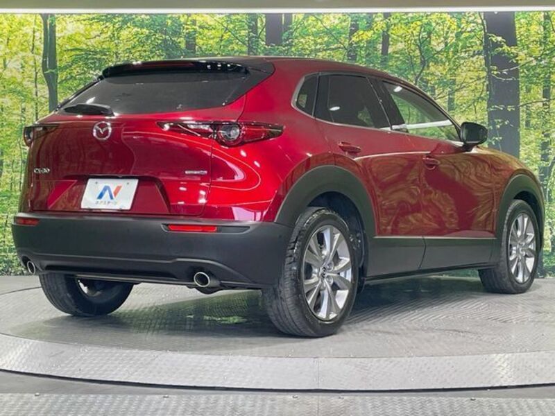 CX-30