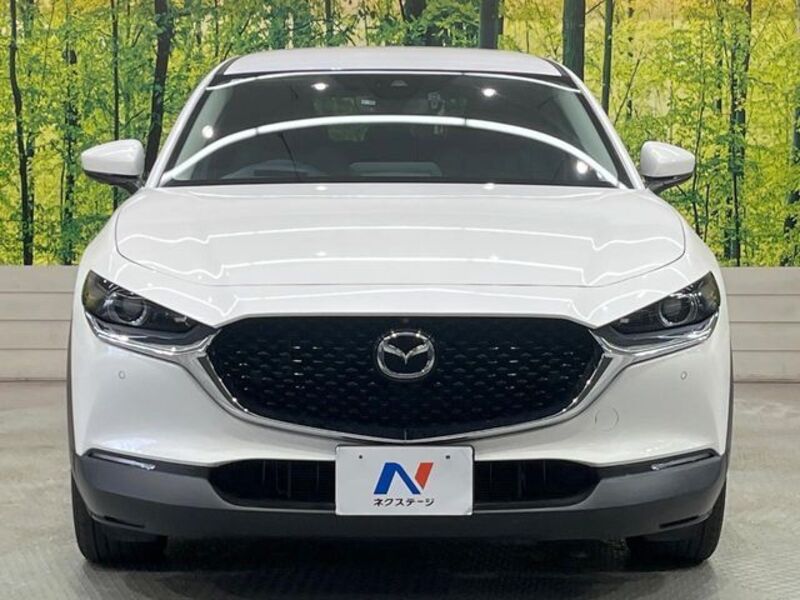 CX-30