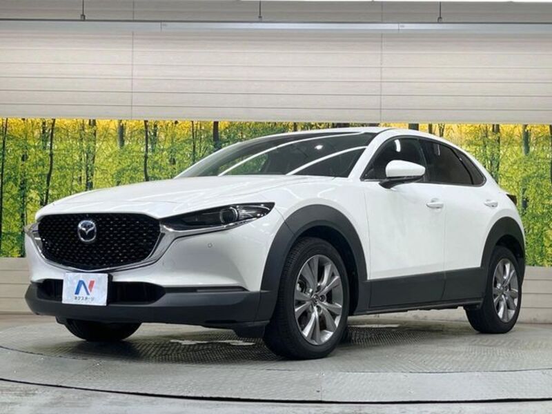 CX-30